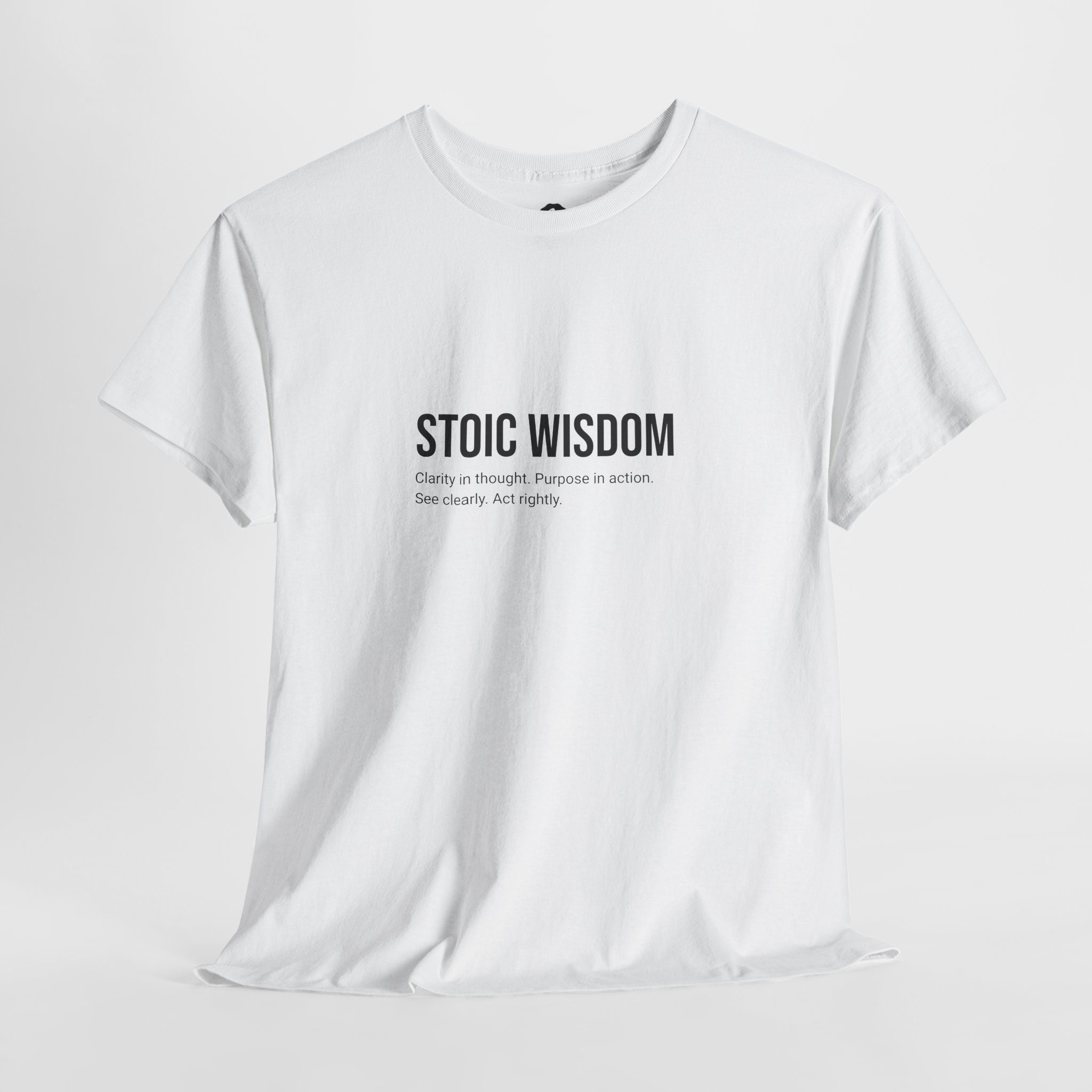 Stoic Wisdom - Mens T-Shirt
