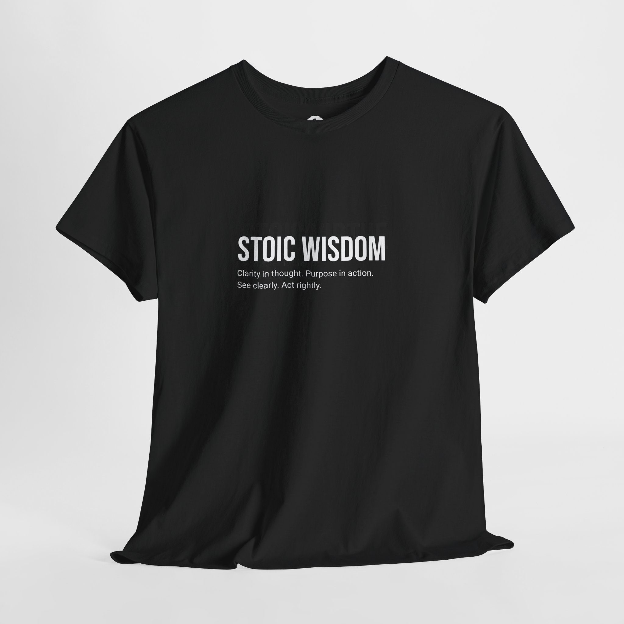 Stoic Wisdom - Mens T-Shirt - Image 4