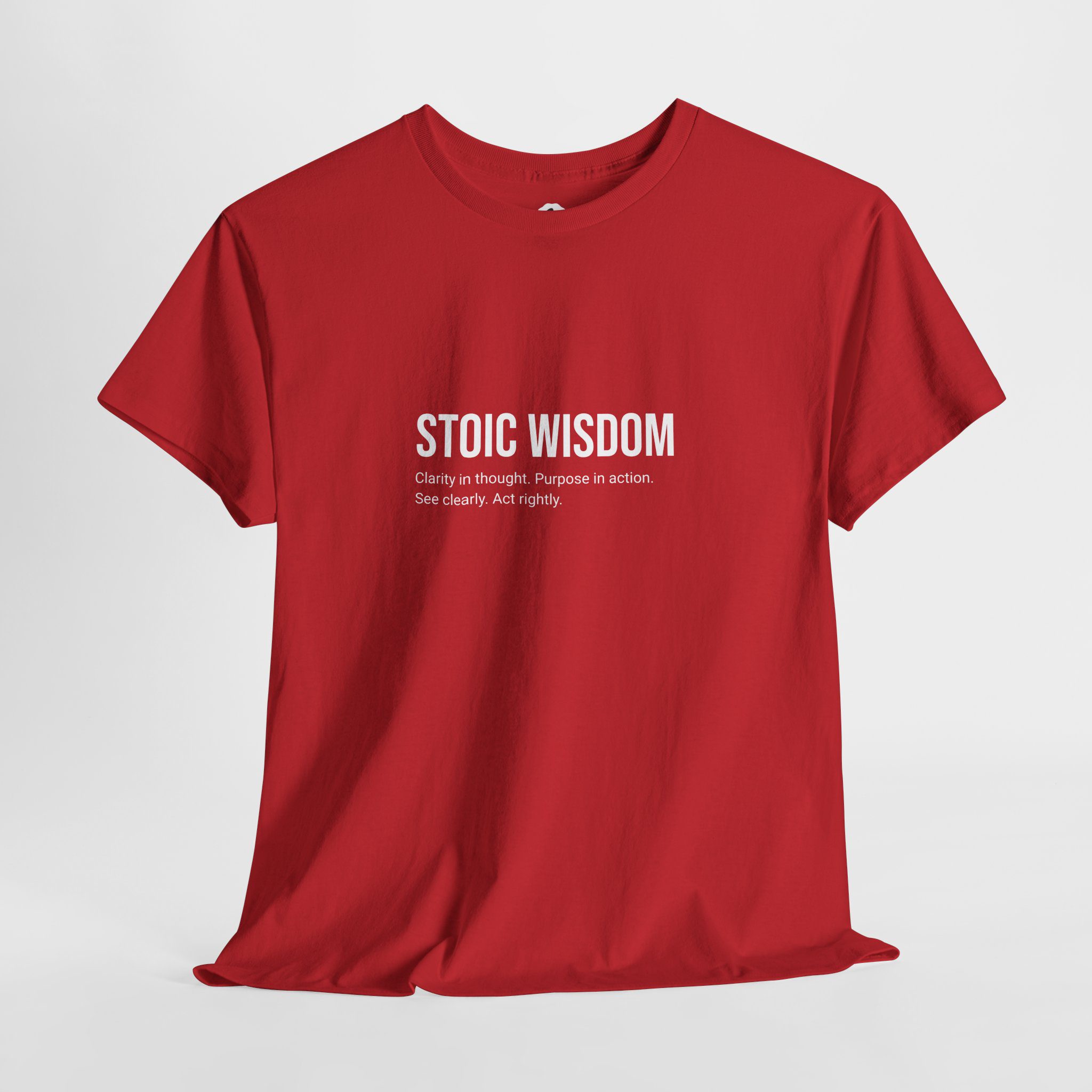 Stoic Wisdom - Mens T-Shirt - Image 6